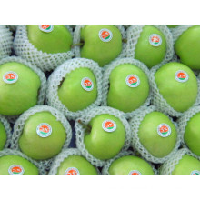 Fresh Green Gala Apple for Exporting